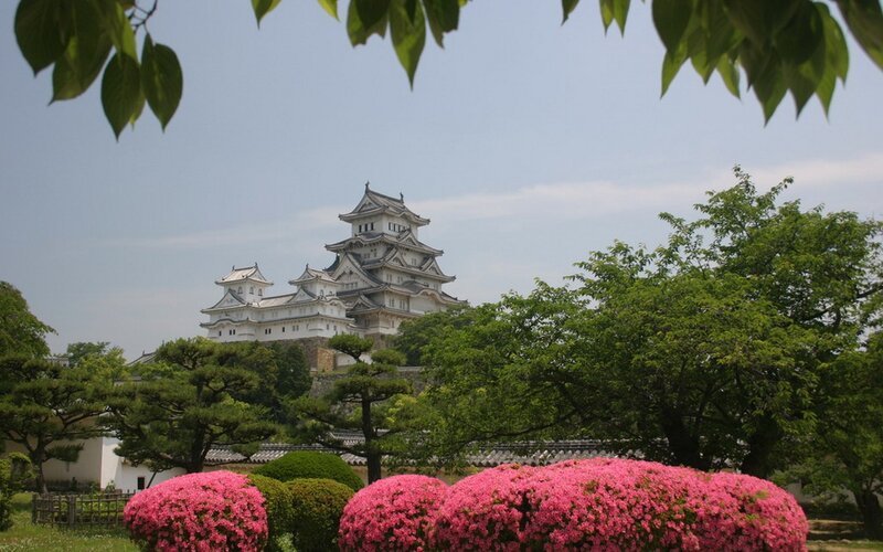 Himeji Castle — Pink