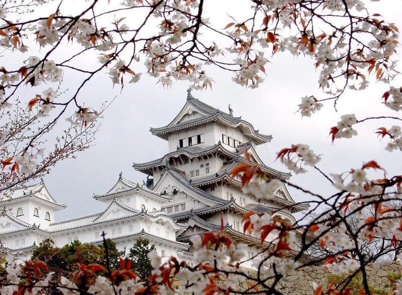 Himeji Castle — White, Serene, Spring, Photograph, Cherry Blossoms, Sky, Gray