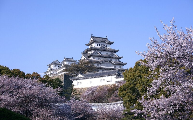 Himeji Castle — White, Serene, Spring, Photograph, Cherry Blossoms, Trees, Sky