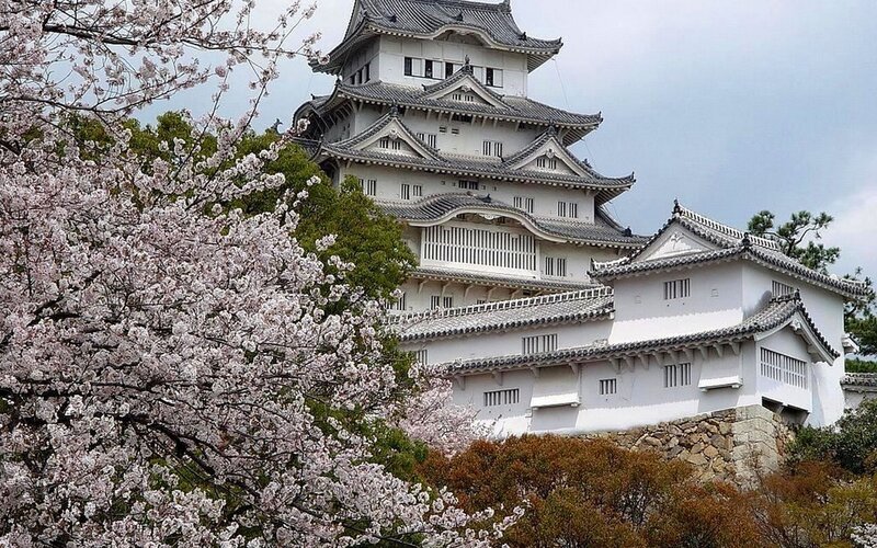 Himeji Castle — White, Serene, Spring, Photograph, Cherry Blossoms, Trees, Stone Wall