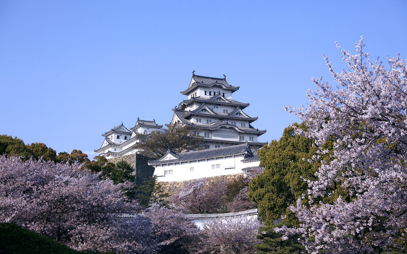 Himeji Castle — White, Serene, Spring, Photograph, Cherry Blossoms, Trees