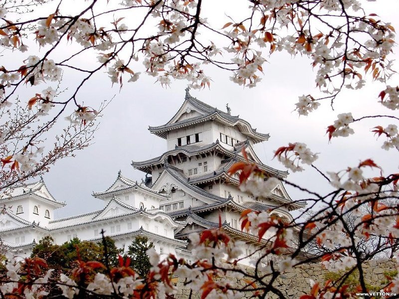 Himeji Castle — White, Serene, Spring, Photograph