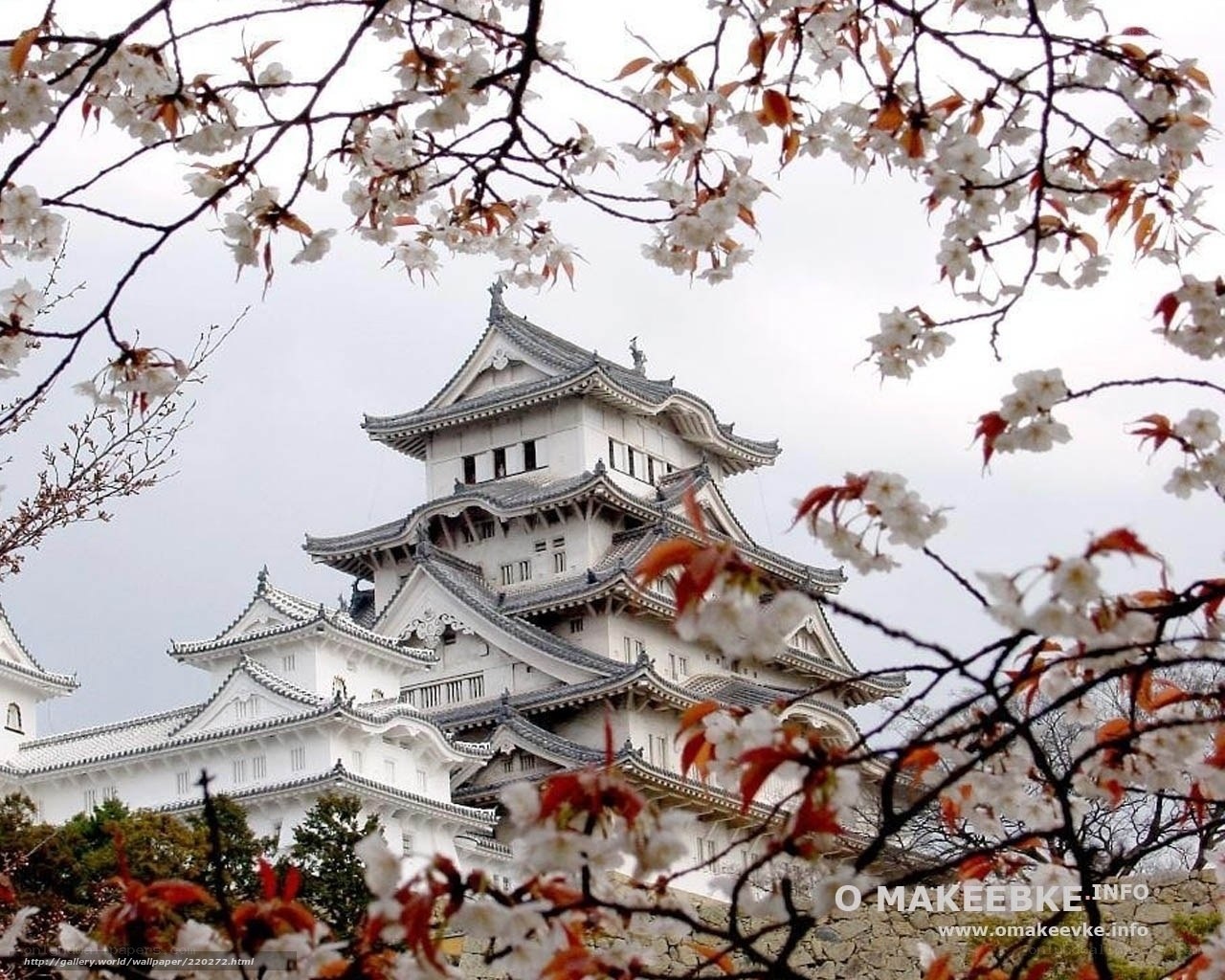 Himeji Castle with cherry blossoms