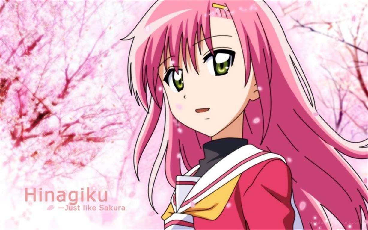 Hinagiku anime character
