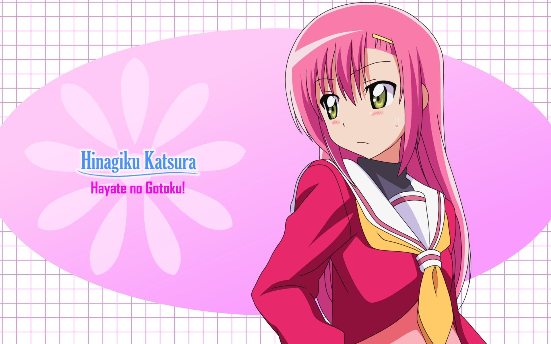 Hinagiku Katsura character art