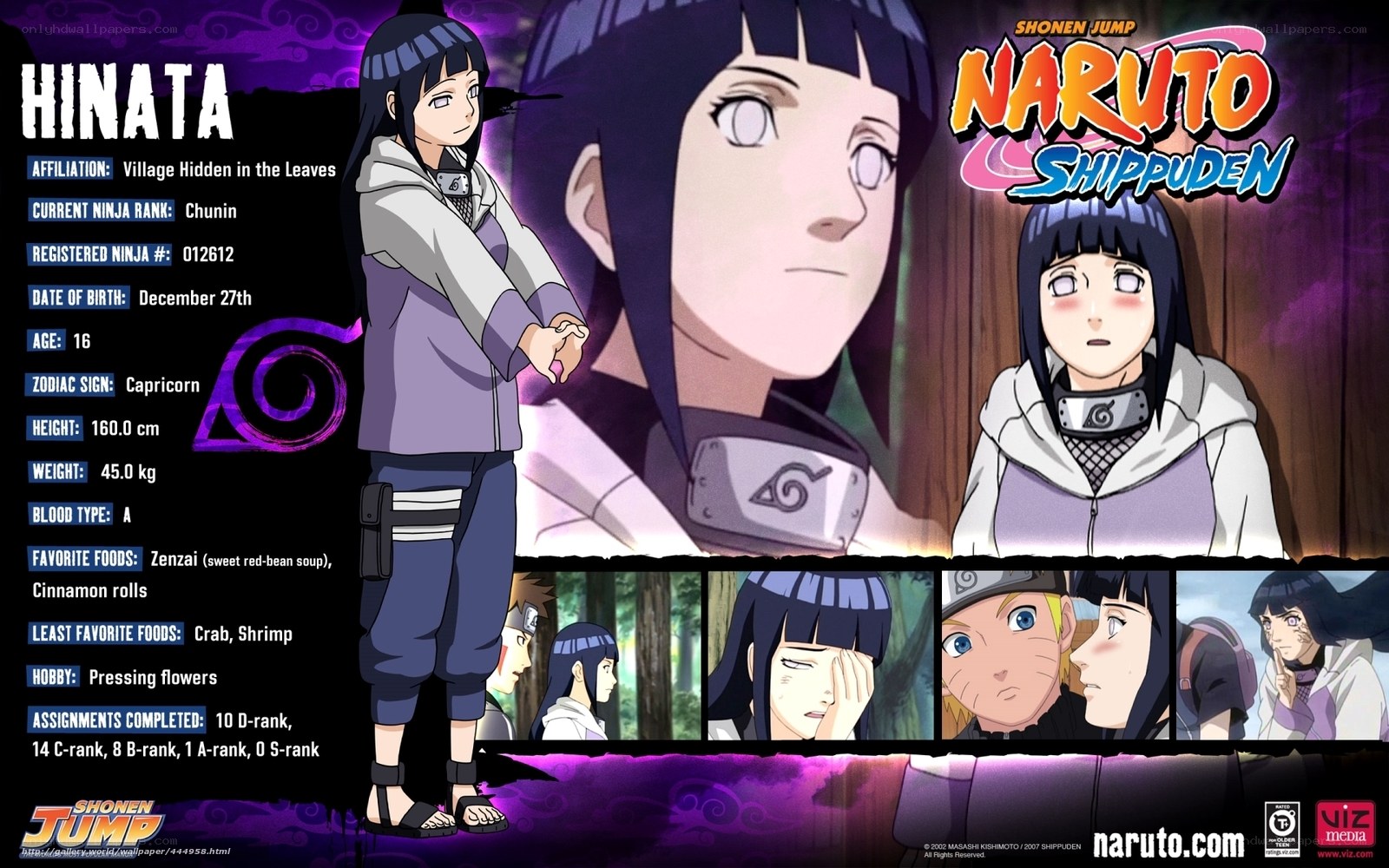 Hinata character profile