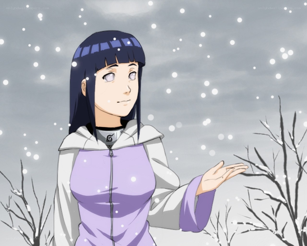 Hinata in the snow