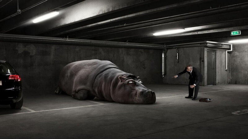 Hippo in Parking Garage