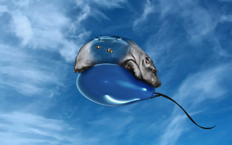 hippo on a balloon