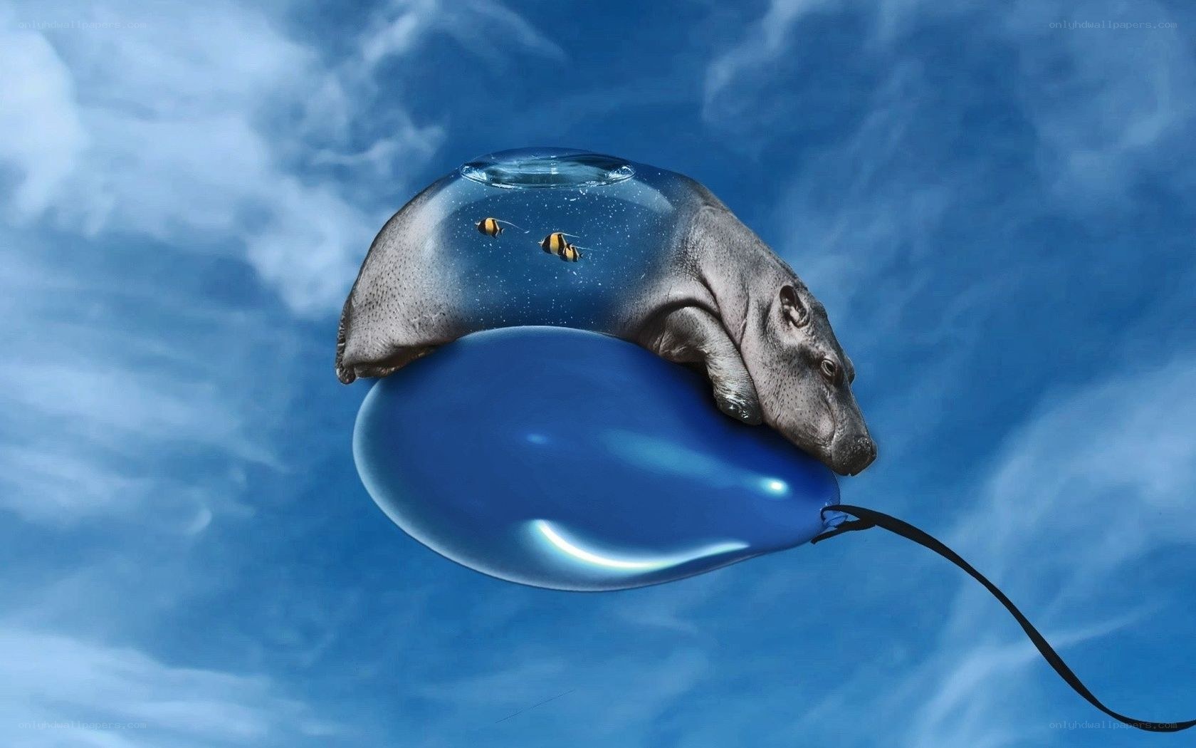 hippo on a balloon