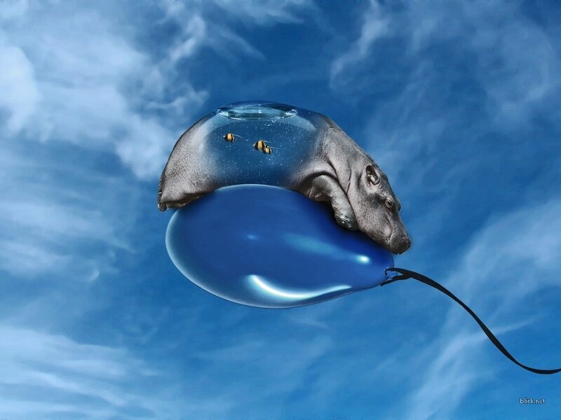 hippo on a balloon