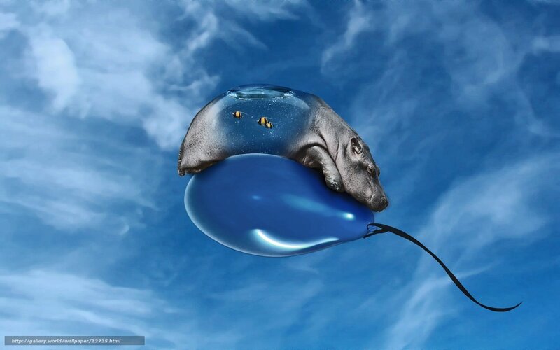 hippo on a balloon