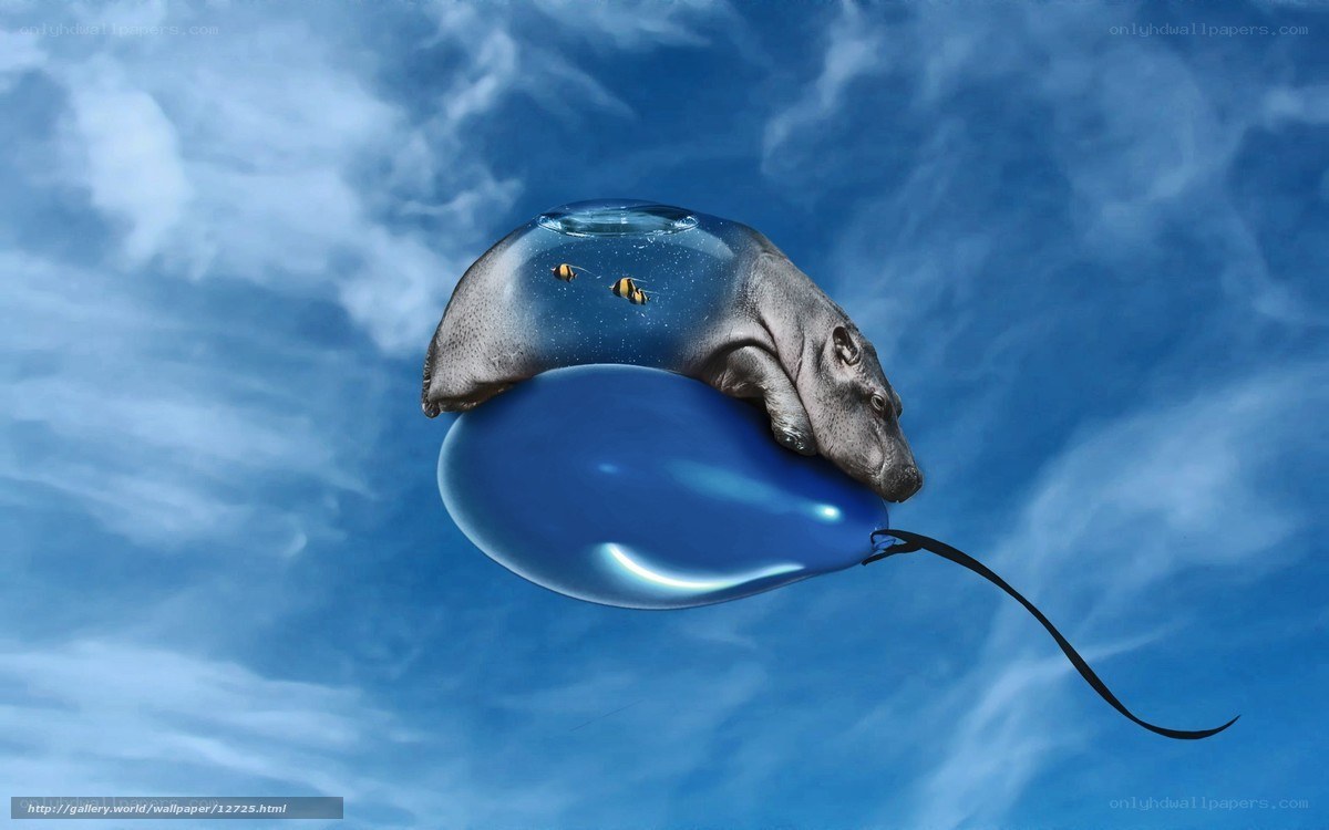 hippo on a balloon