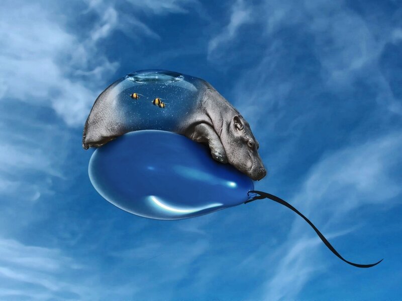 Hippo on Balloon — Blue, Surreal, Digital Art