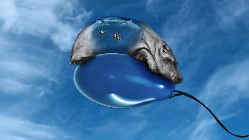 Hippo on Balloon — Blue