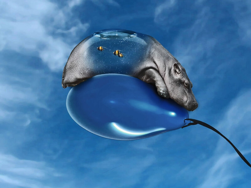 Hippo on Balloon