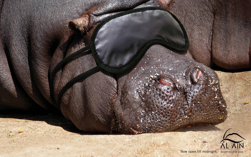 Hippo Wearing Sleep Mask — Brown