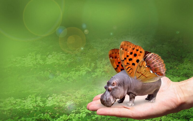 Hippo with Butterfly Wings — Green, Whimsical