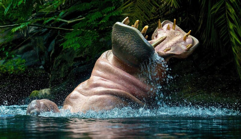 Hippopotamus in Water — Green, Dramatic, Photograph
