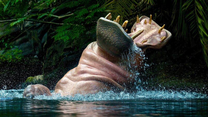 Hippopotamus in Water — Green, Dramatic
