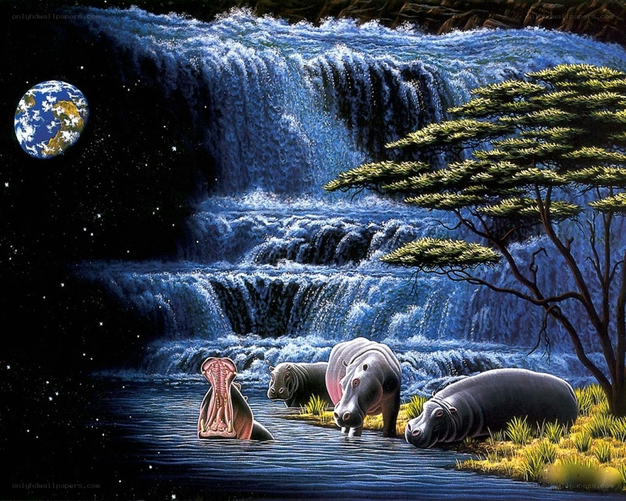 Hippos by a waterfall at night