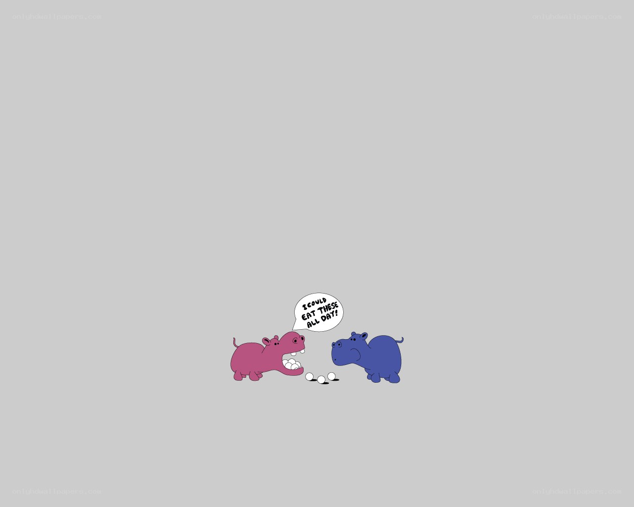 hippos eating balls