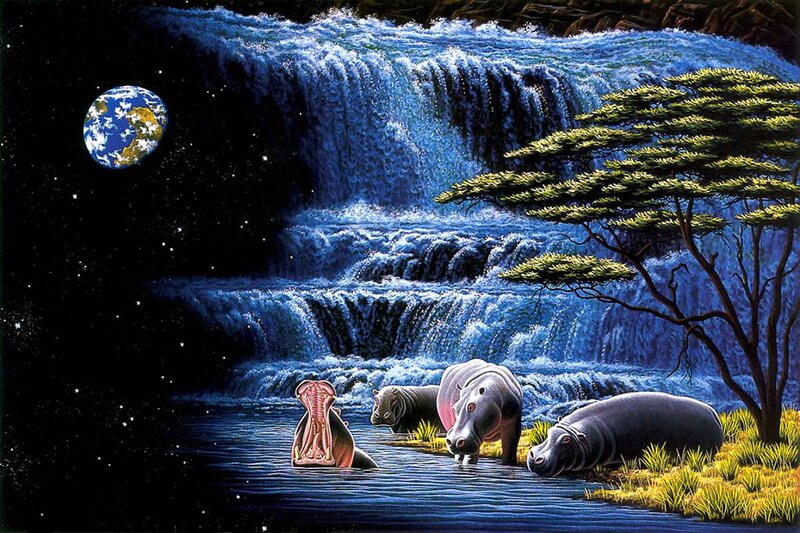 Hippos in Water — Blue