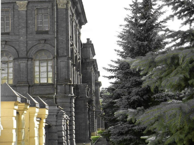 Historic building with evergreen trees