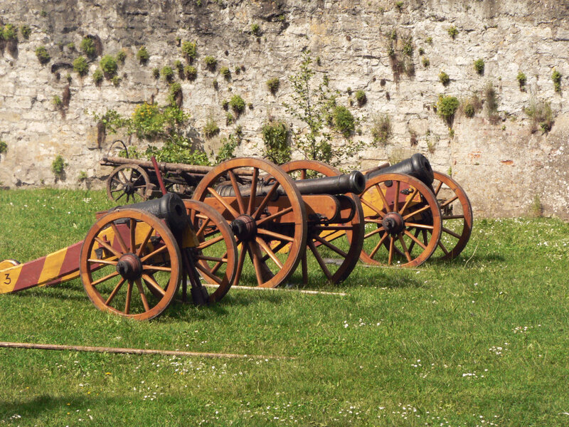 Historic cannons on display