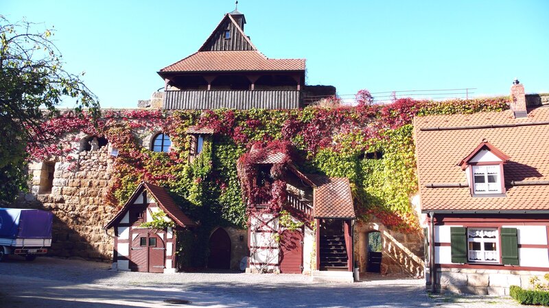 historic castle with ivy-covered walls