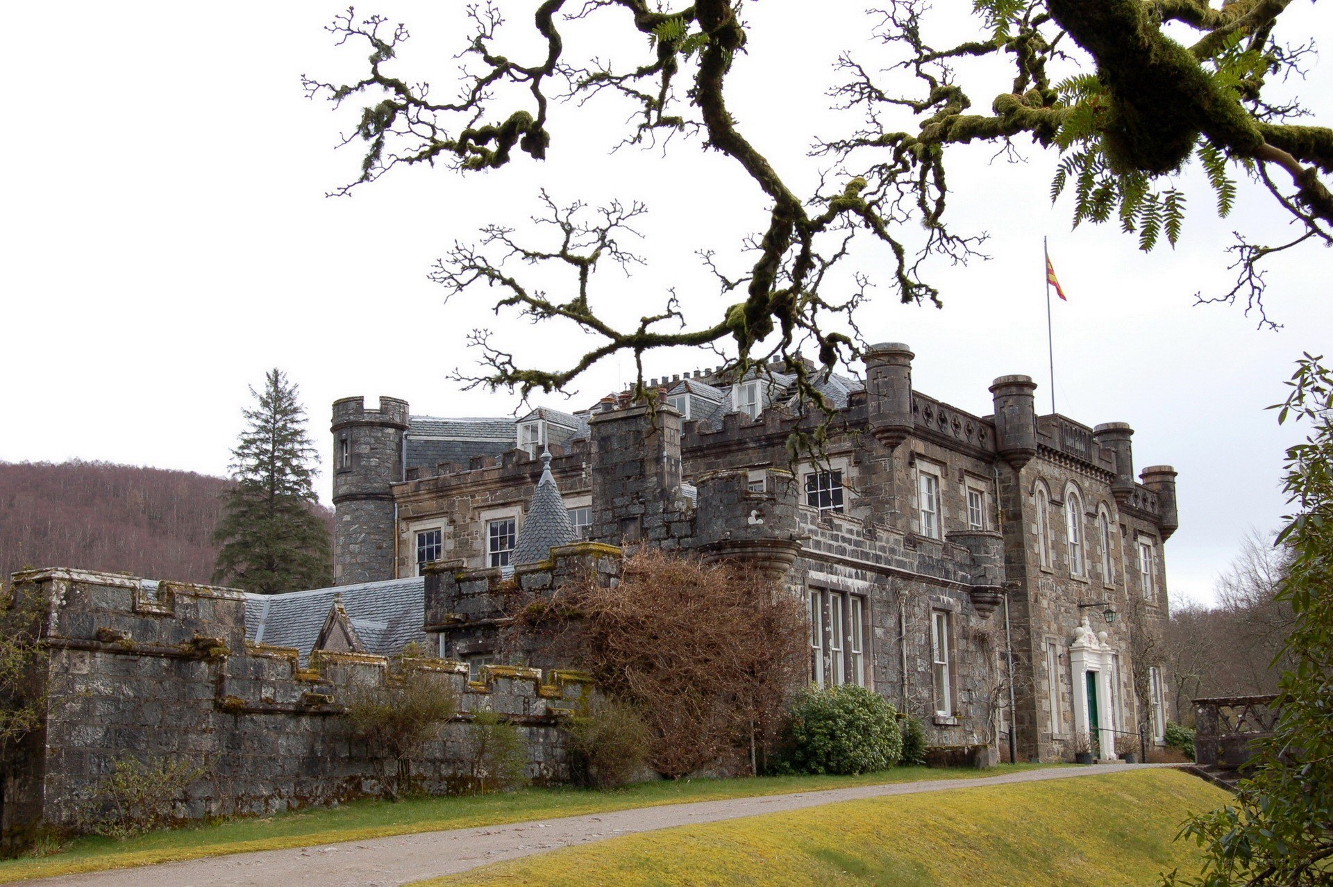 historic castle with mossy branches
