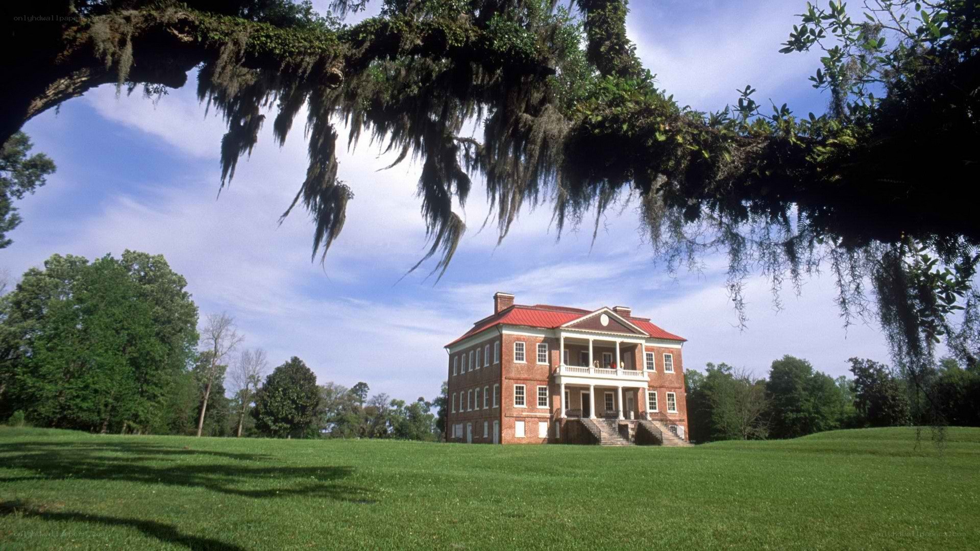 historic house under oak trees