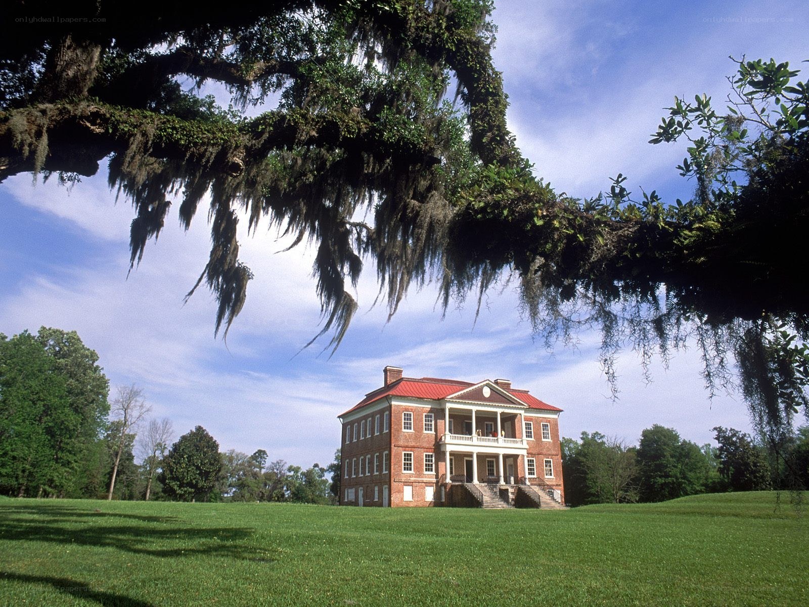 Historic mansion under oak trees