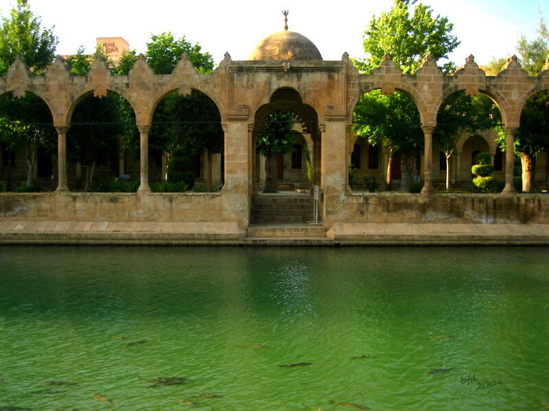 Historic pool with arched structure