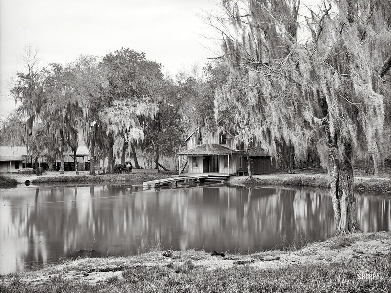 Historic Southern plantation scene