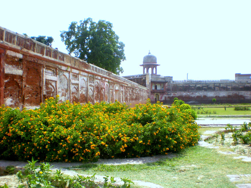 Historic wall with yellow flowers