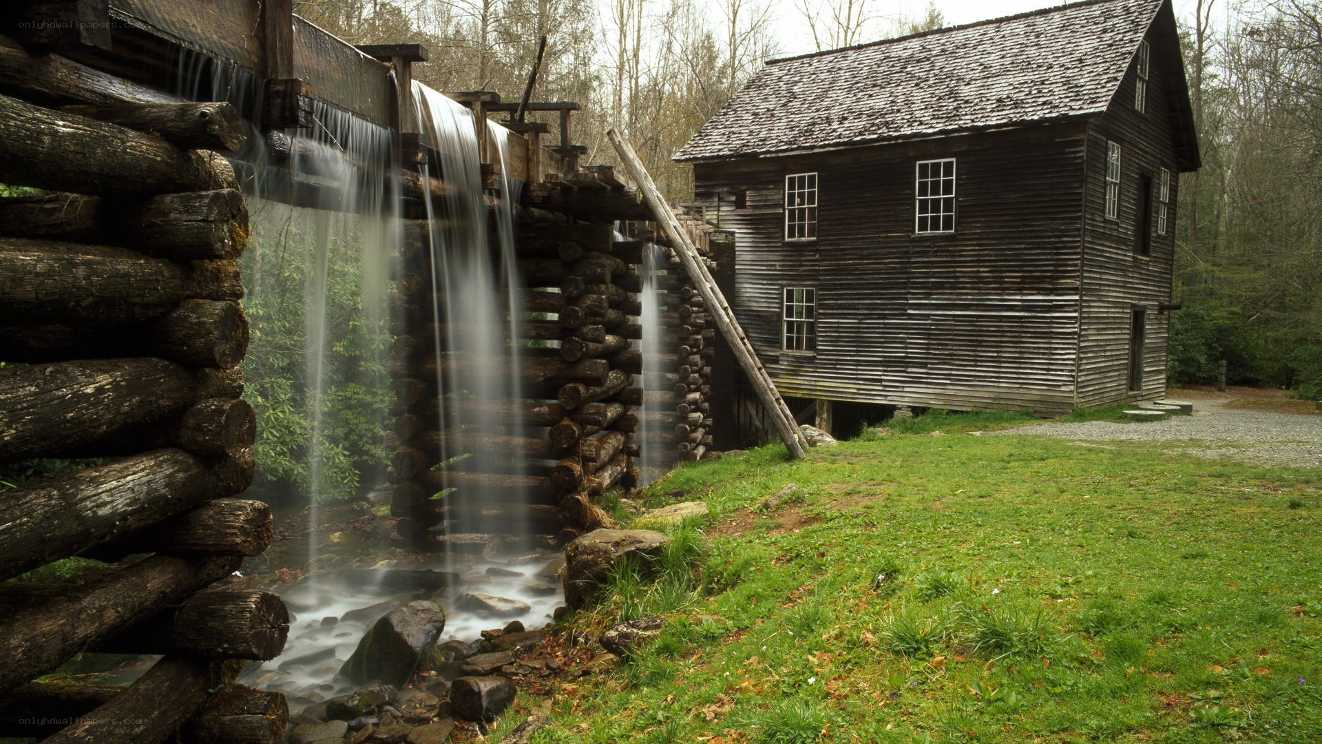 historic water mill in forest