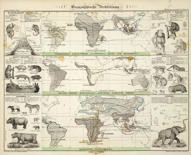 Historical animal distribution map