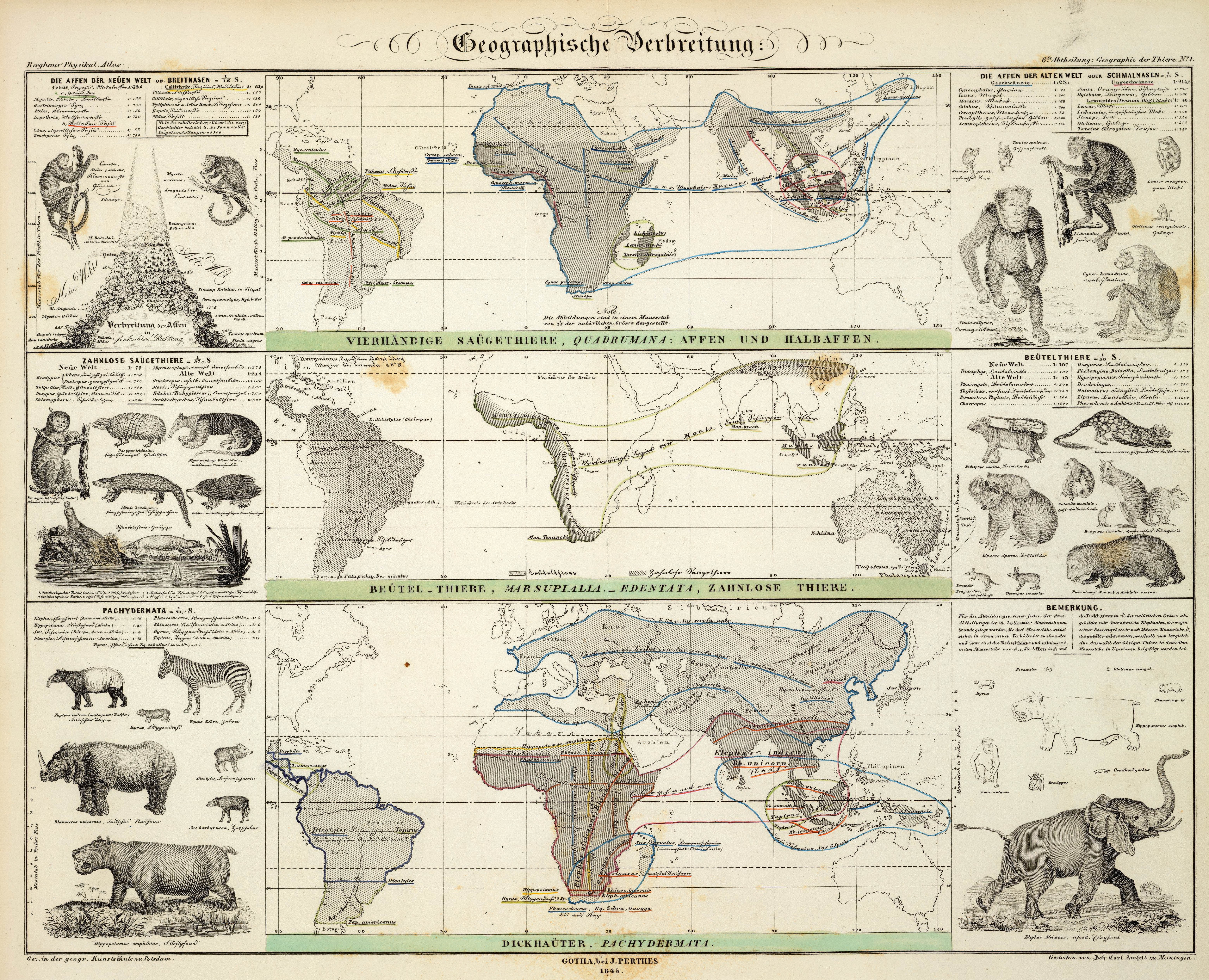 Historical animal distribution map