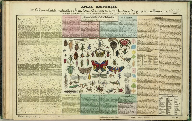 Historical natural history chart