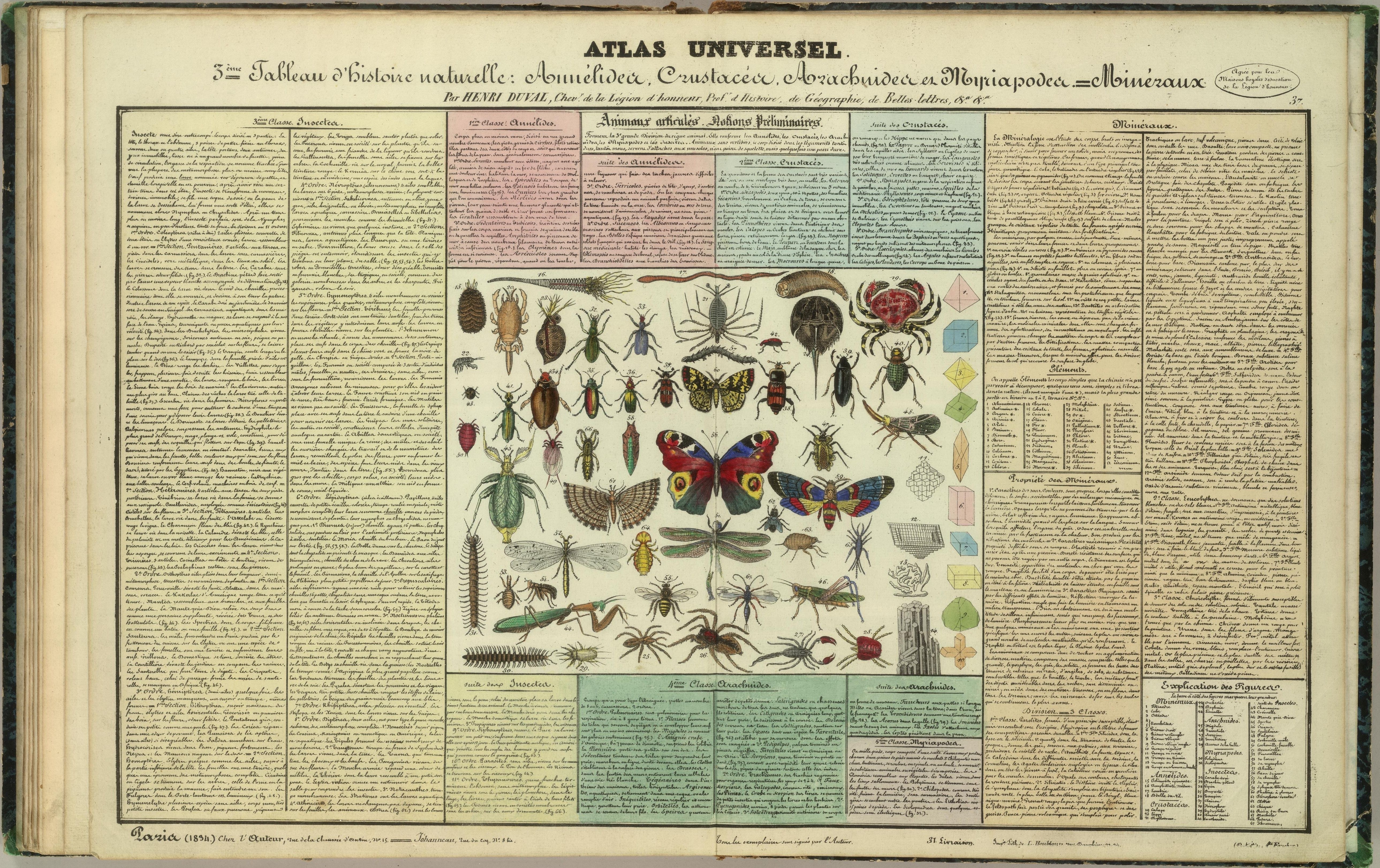 Historical natural history chart