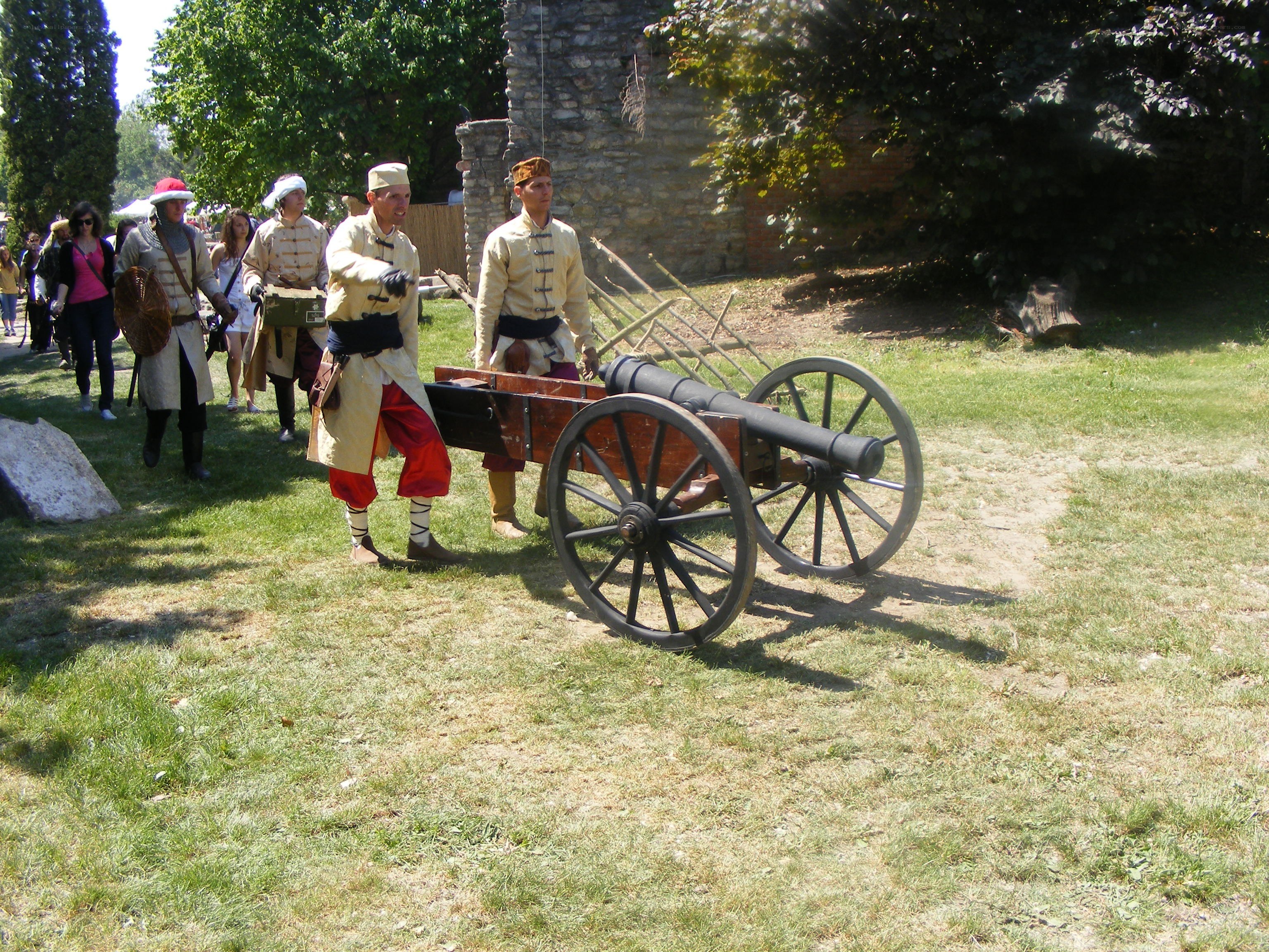 Historical reenactment with cannon