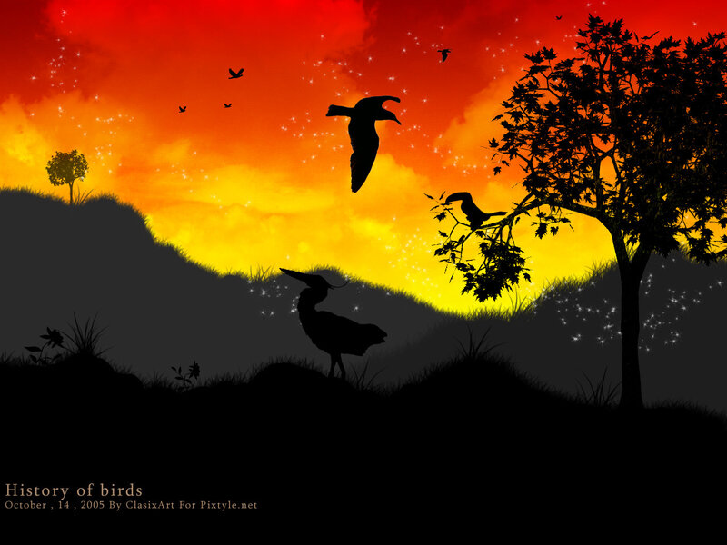 History of birds