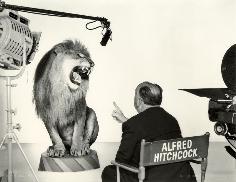Hitchcock directing a lion