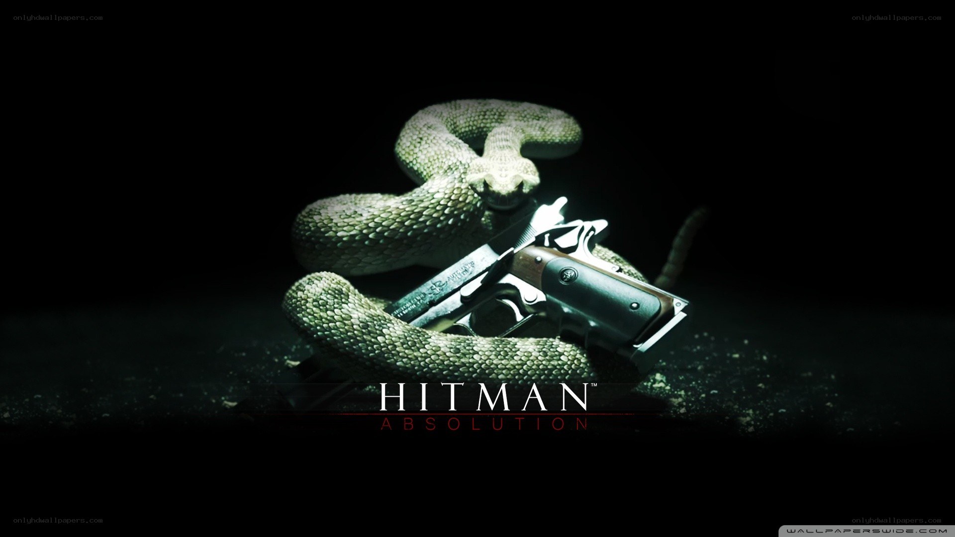 Hitman: Absolution promotional art