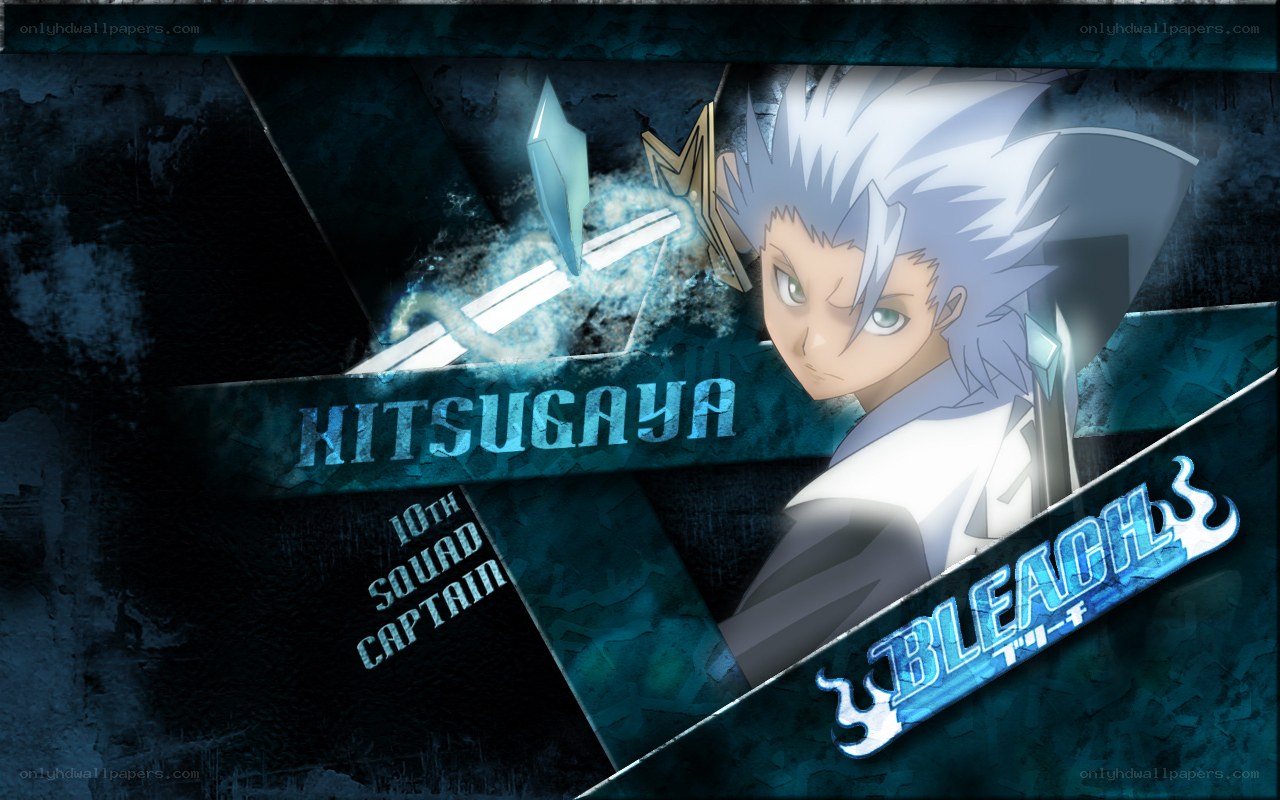 Hitsugaya character art