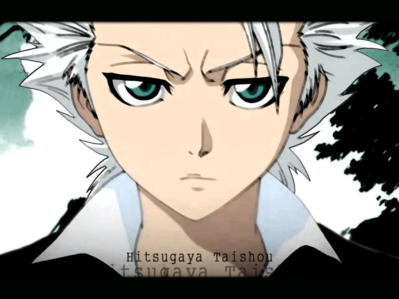 Hitsugaya Taisou close-up