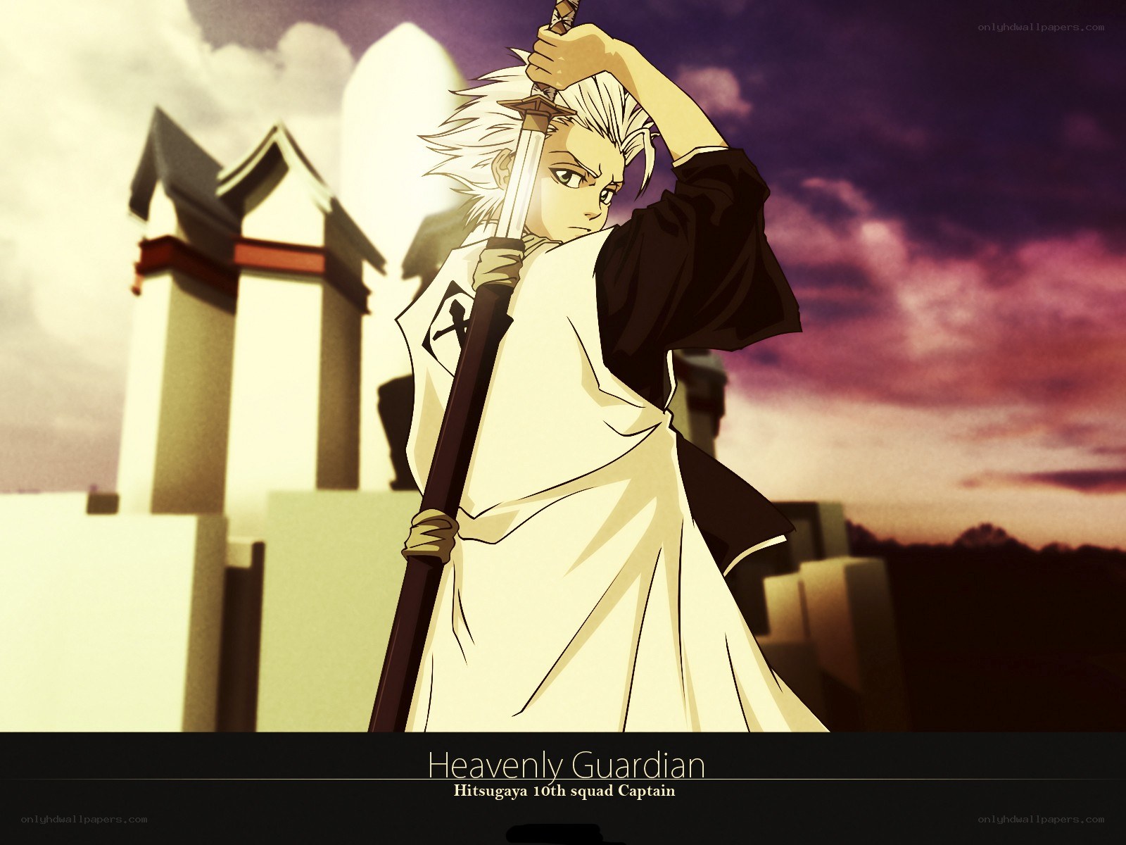 Hitsugaya the Guardian