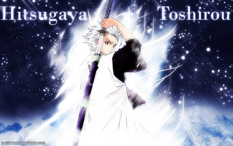 Hitsugaya Toshiro anime character