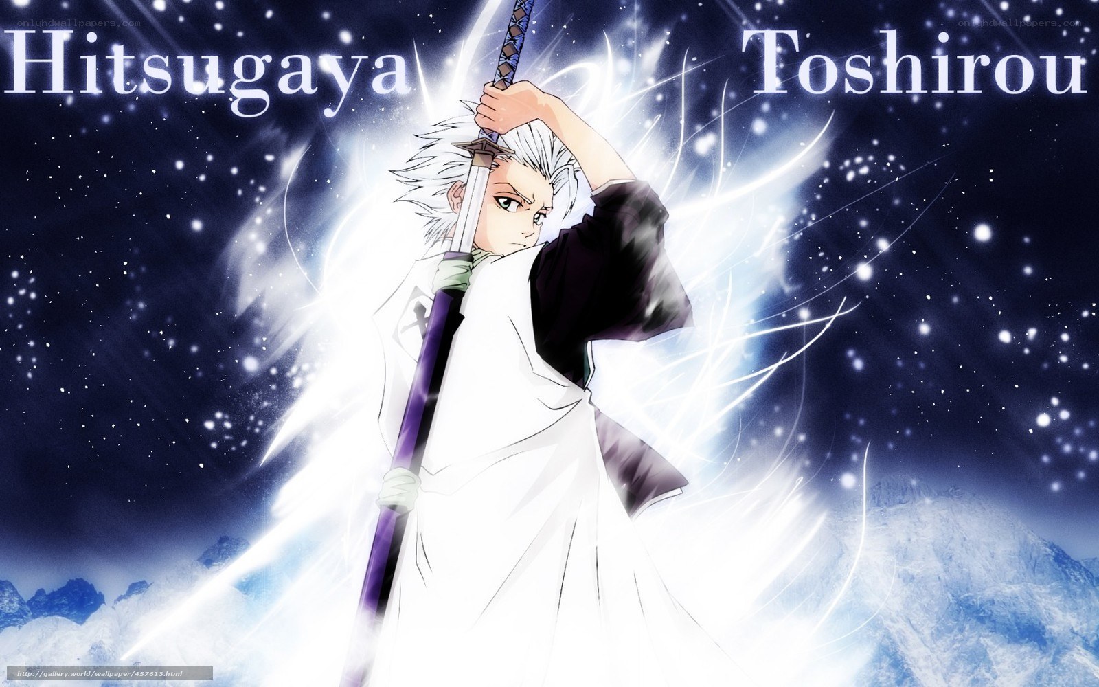 Hitsugaya Toshiro anime character